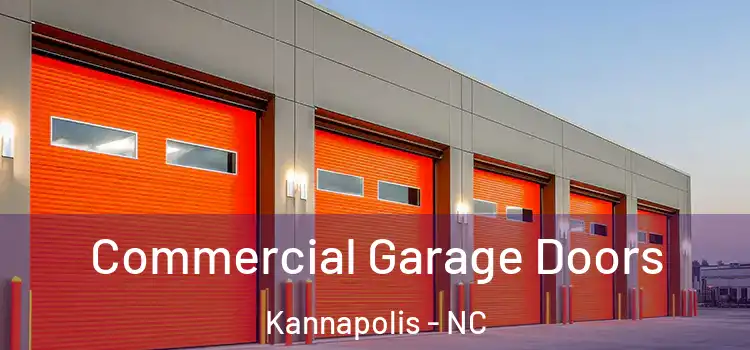 Commercial Garage Doors Kannapolis - NC