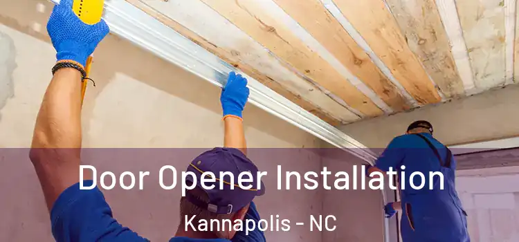  Door Opener Installation Kannapolis - NC