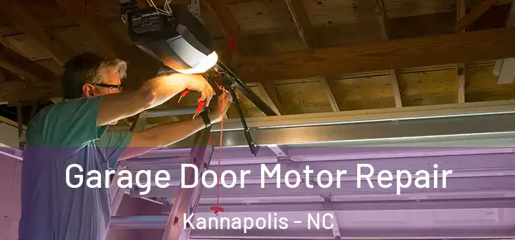  Garage Door Motor Repair Kannapolis - NC