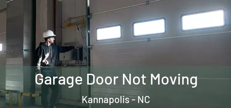  Garage Door Not Moving Kannapolis - NC