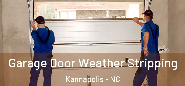  Garage Door Weather Stripping Kannapolis - NC