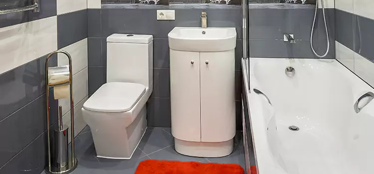 Hansgrohe Shaving Mirror Kannapolis