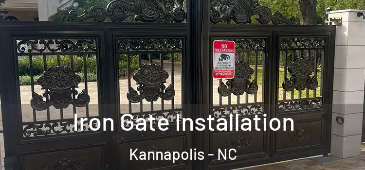 Iron Gate Installation Kannapolis - NC